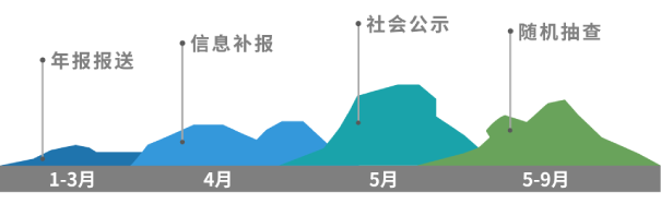 idc年检流程